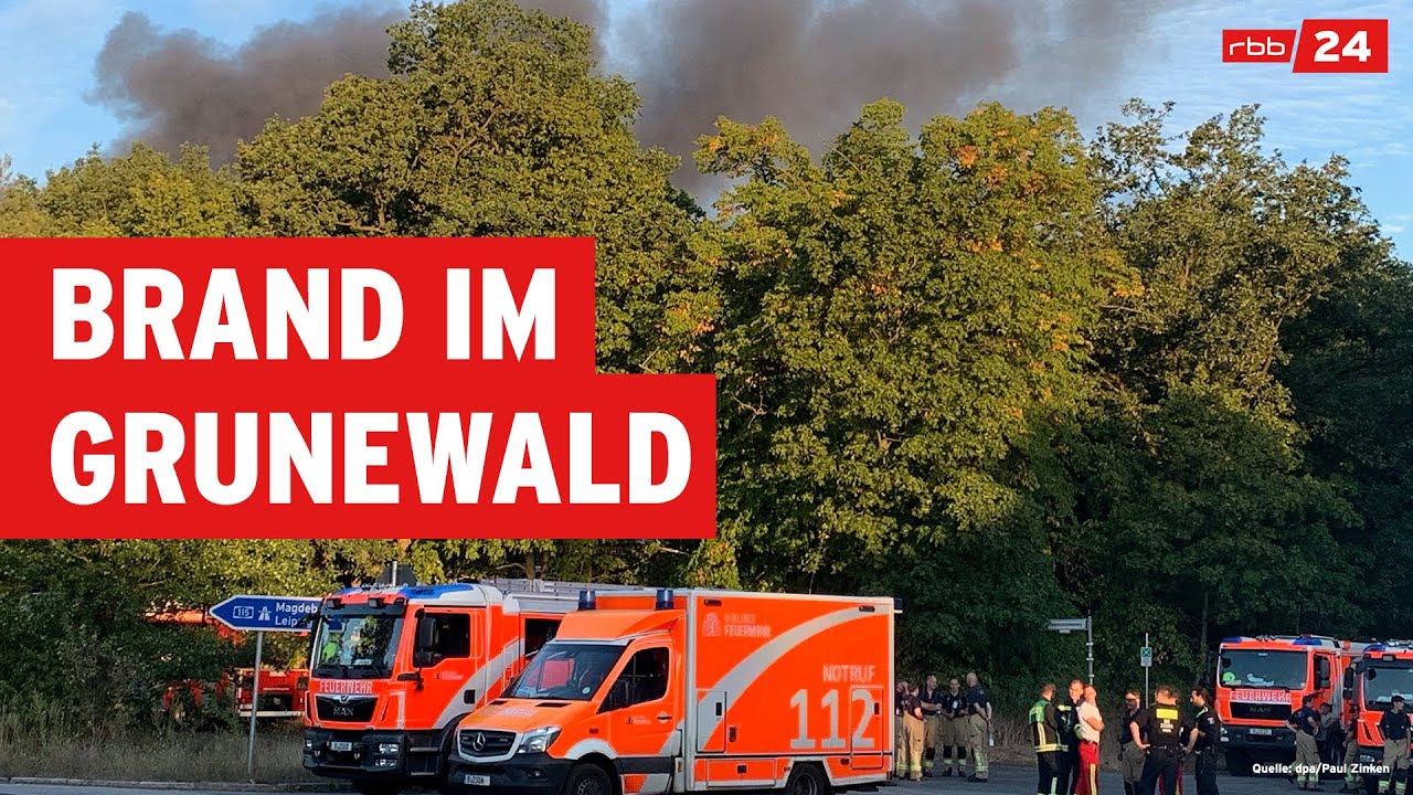 Updates zum Brand im Grunewald: Explosionen, Beeinträchtigung Auto- und Bahnverkehr | LIVESTREAM