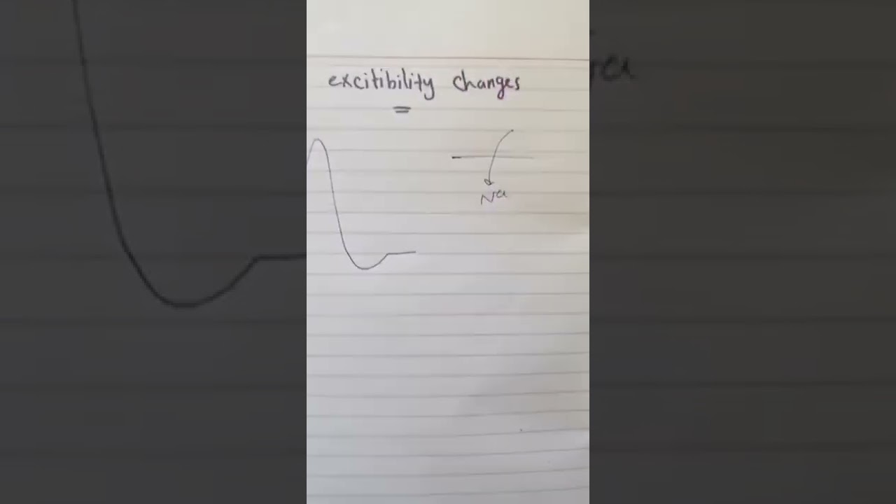 action potential 7 - refractory period - dr. Amira Azzazy