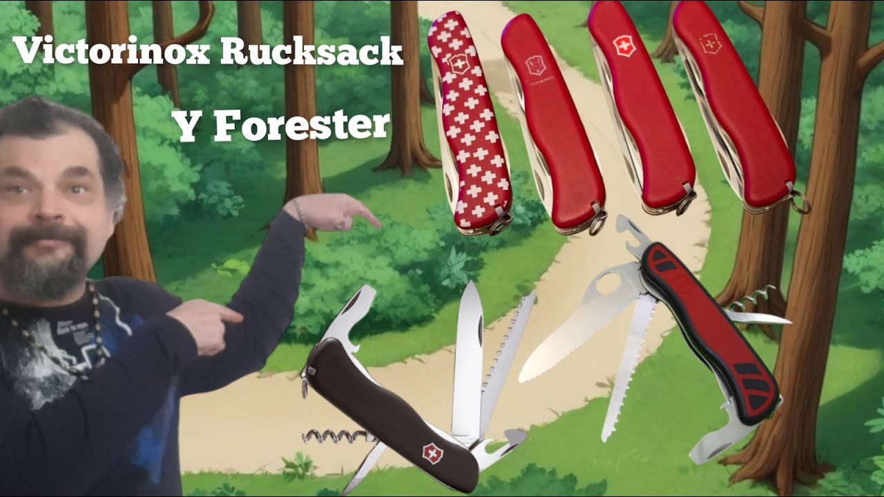 Рюкзак Victorinox против Victorinox Forester, обзор