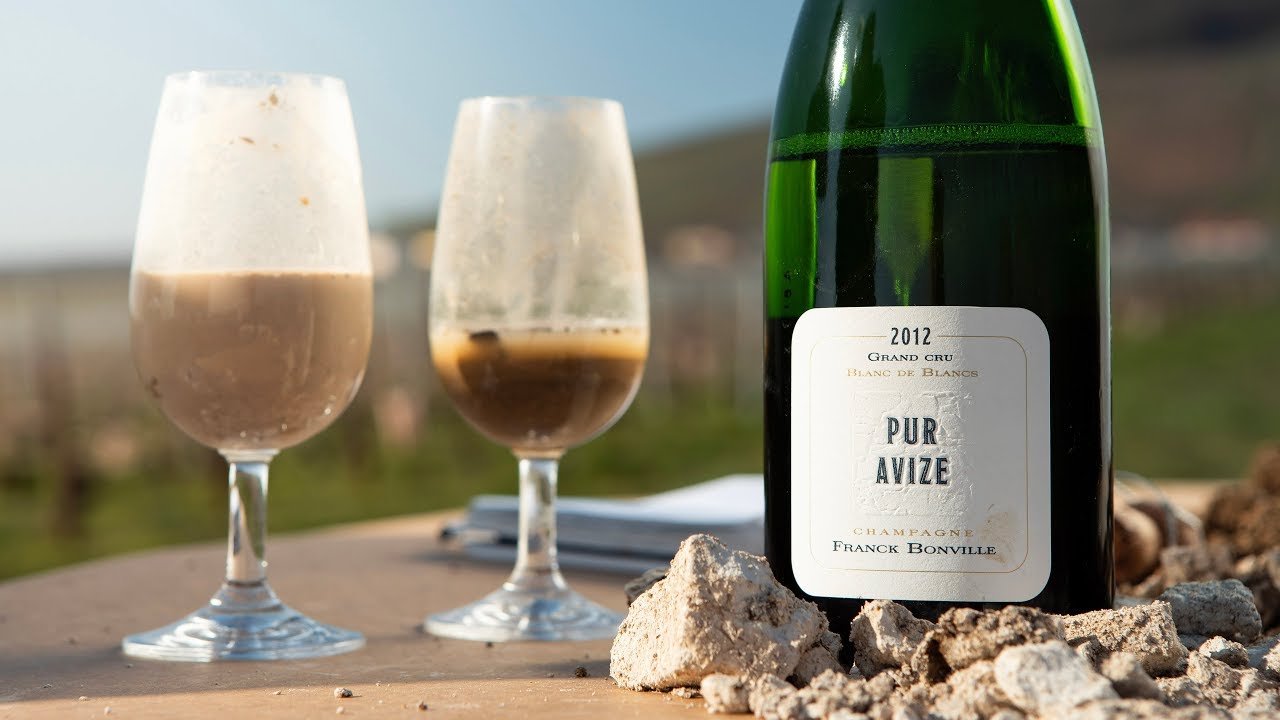 Comprendre les terroirs de la côte des Blancs