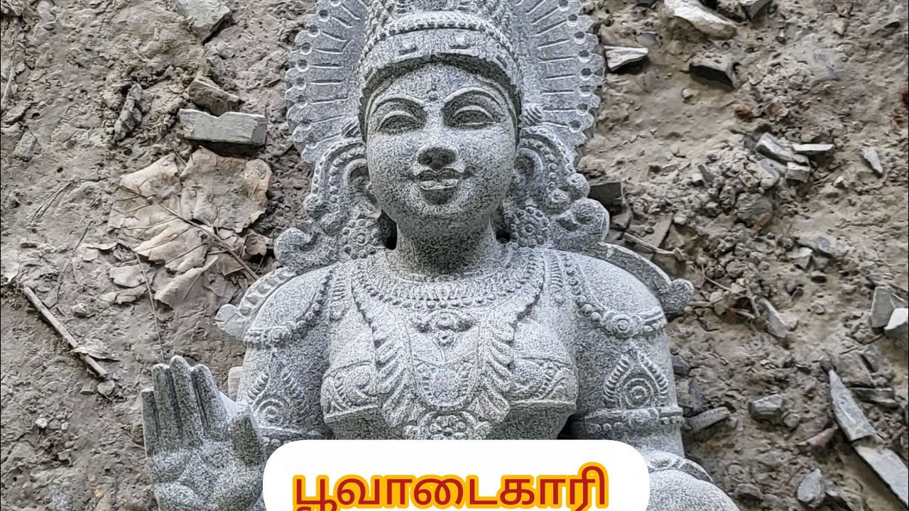 Poovadai amman #india #art #artist