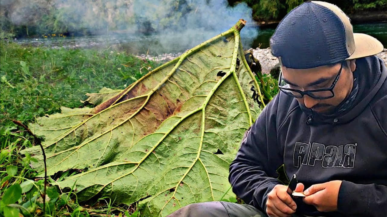 PESCA En CHILE, MIRA Como COCINAMOS ESTA TRUCHA // Sur de Chile // Flandesman Aventura.