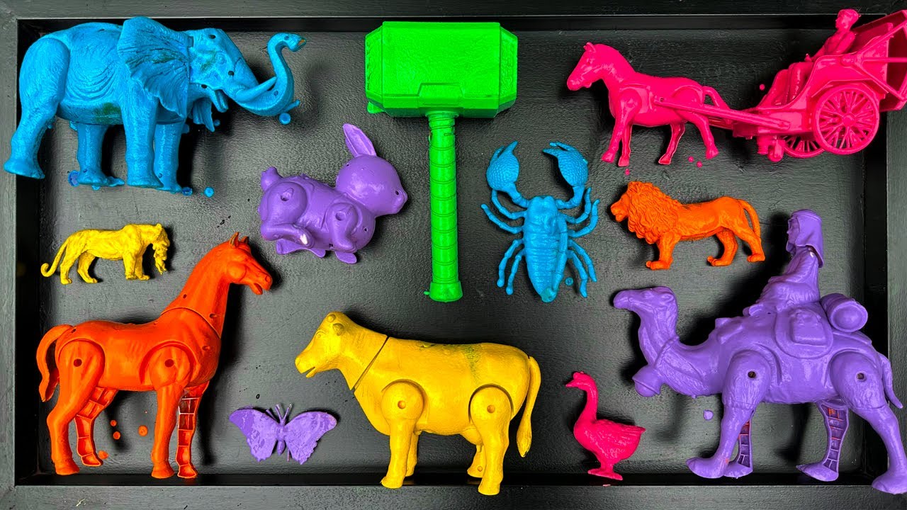 Membersihkan mainan hewan, sapi, bebek, angsa, ayam, gajah, singa, unta, buaya, zebra, kangguru.