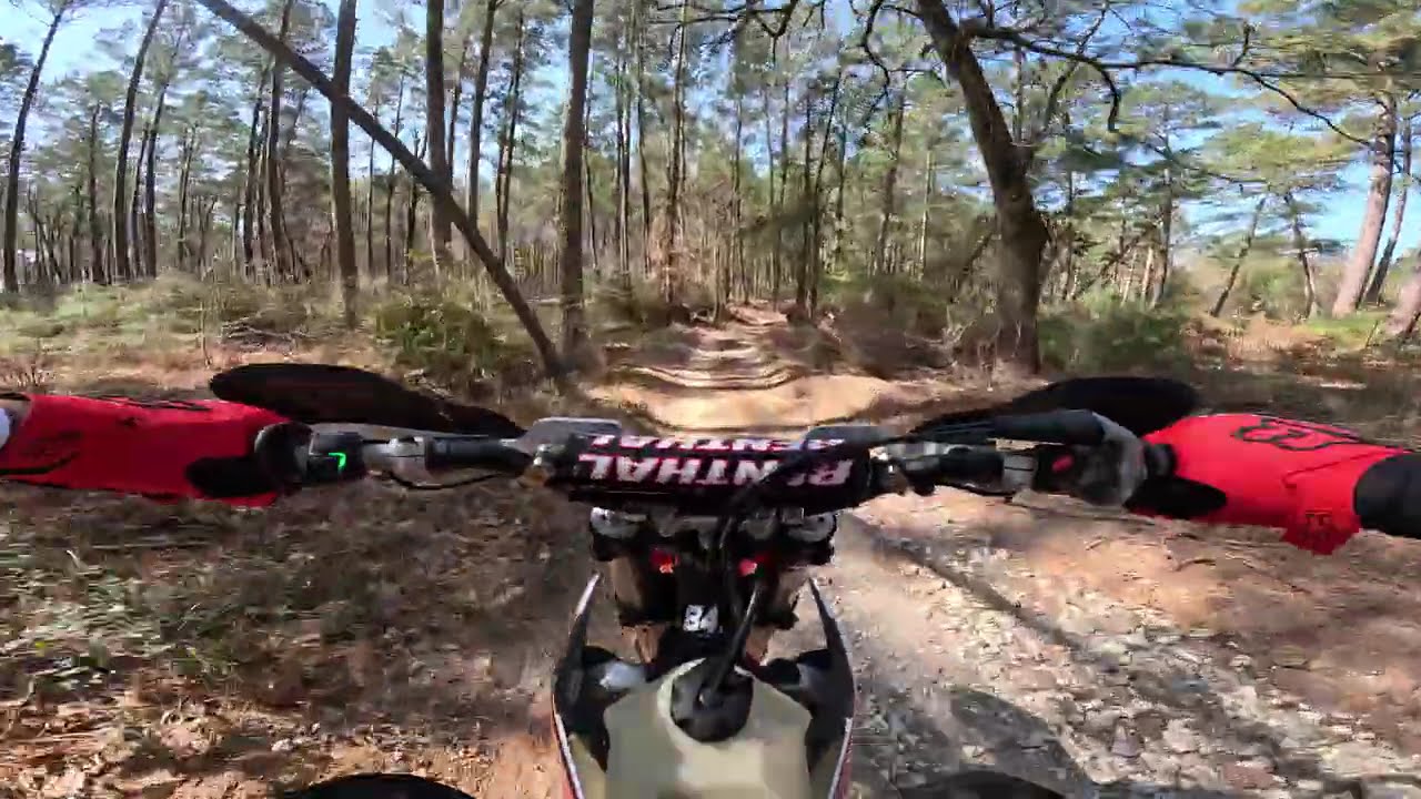 Sam Houston Trails Honeymoon to Woodpecker to kellys pond