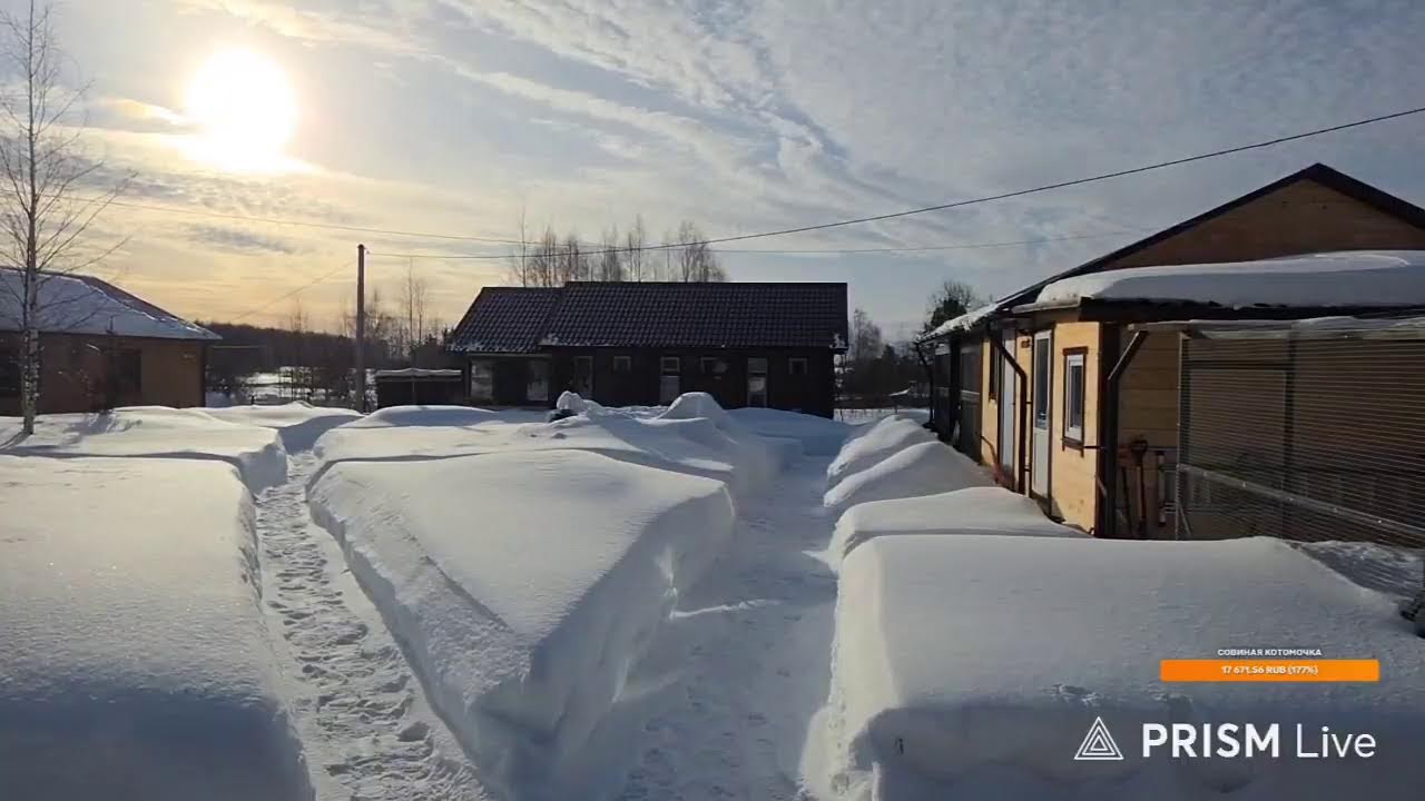 Yoll добрый стрим. Гуляем по зиме. С праздником!