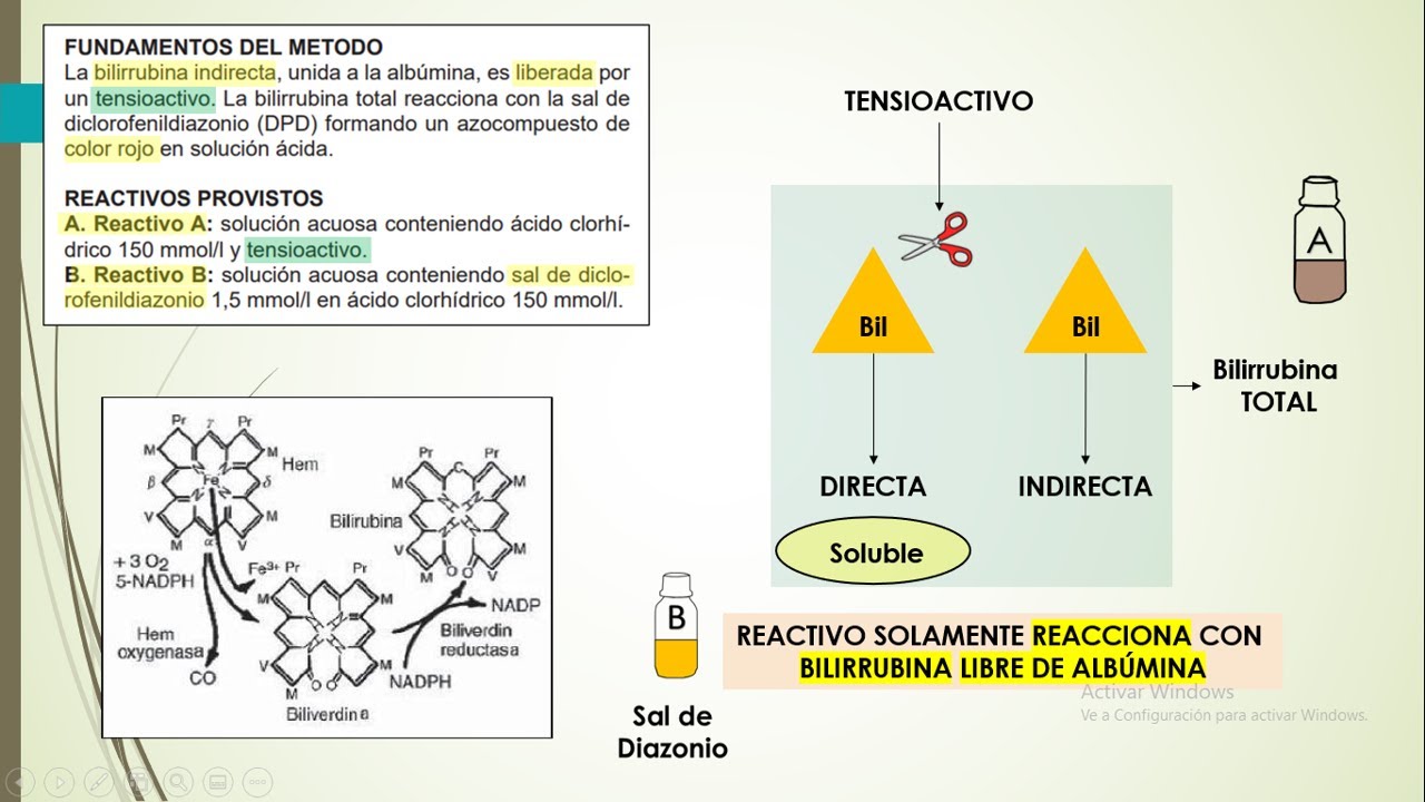 Bilirrubina Total, Directa e Indirecta