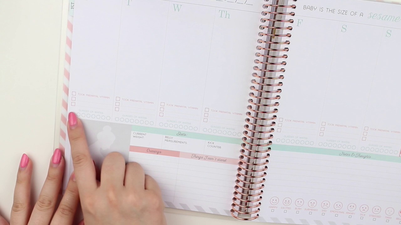 PREGNANCY PLANNER