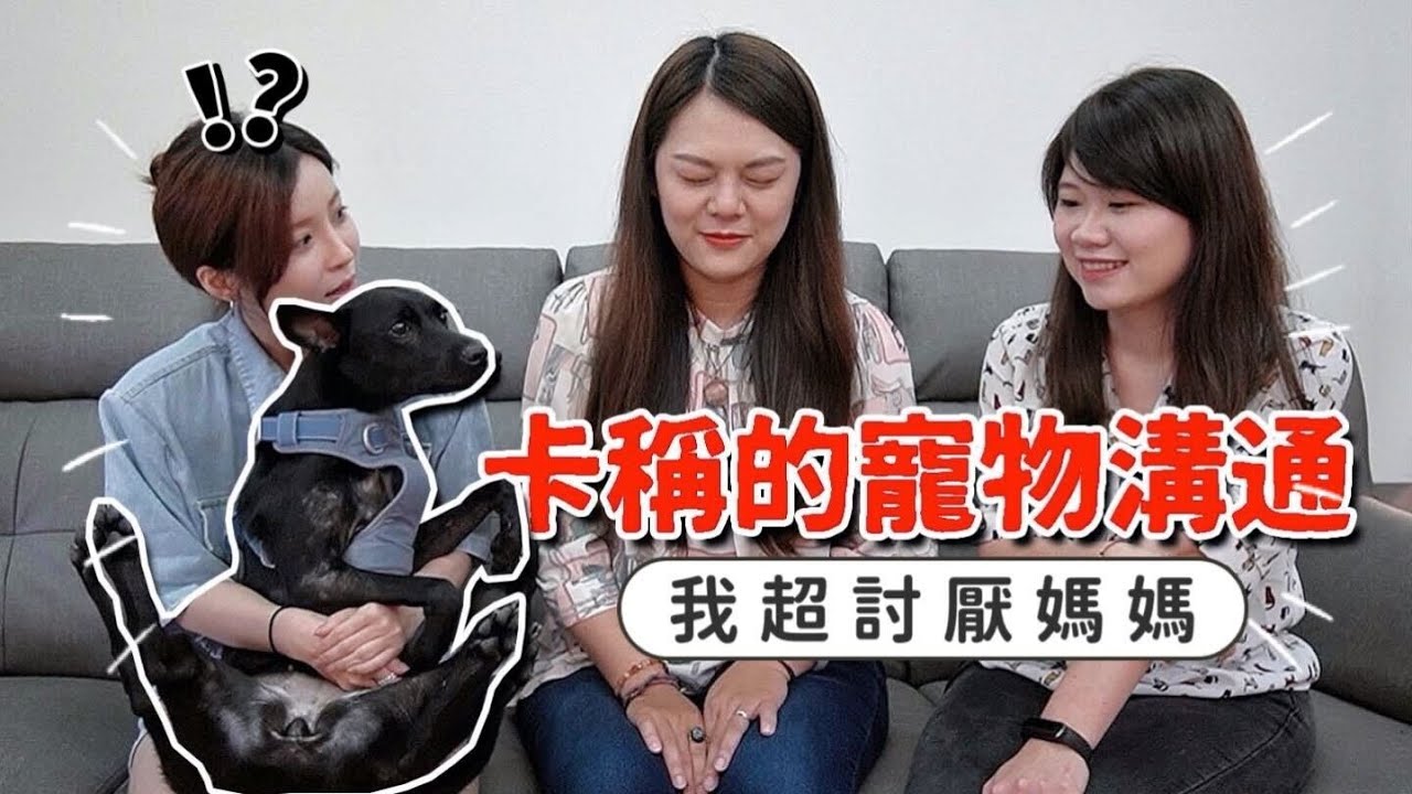 超神奇！首次寵物溝通居然被說中沒人知道的祕密！卡稱的心聲是個怪女孩｜技安