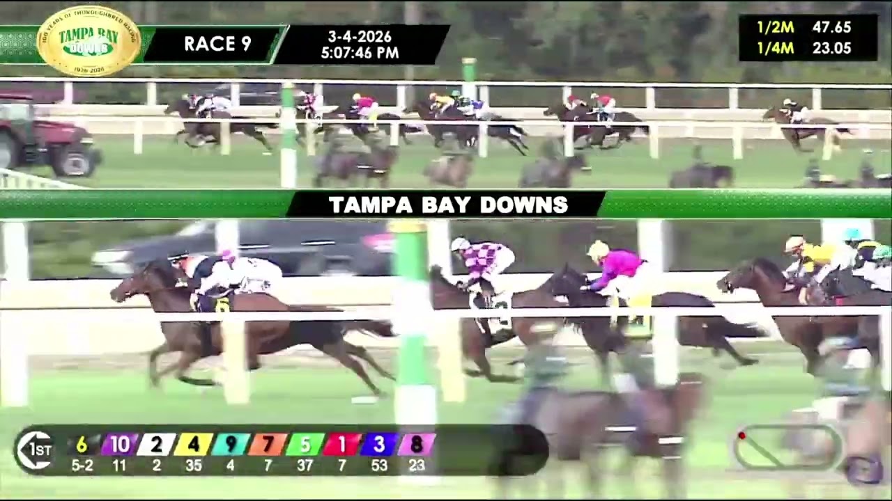 9na Carrera de Tampa Bay Downs | Miercoles 4 de Marzo de 2026