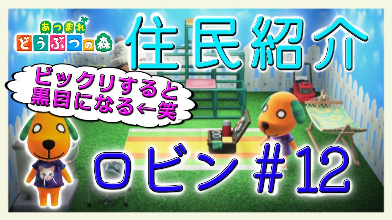 あつ森住民紹介　ロビン＃12　New Horizons Biskit