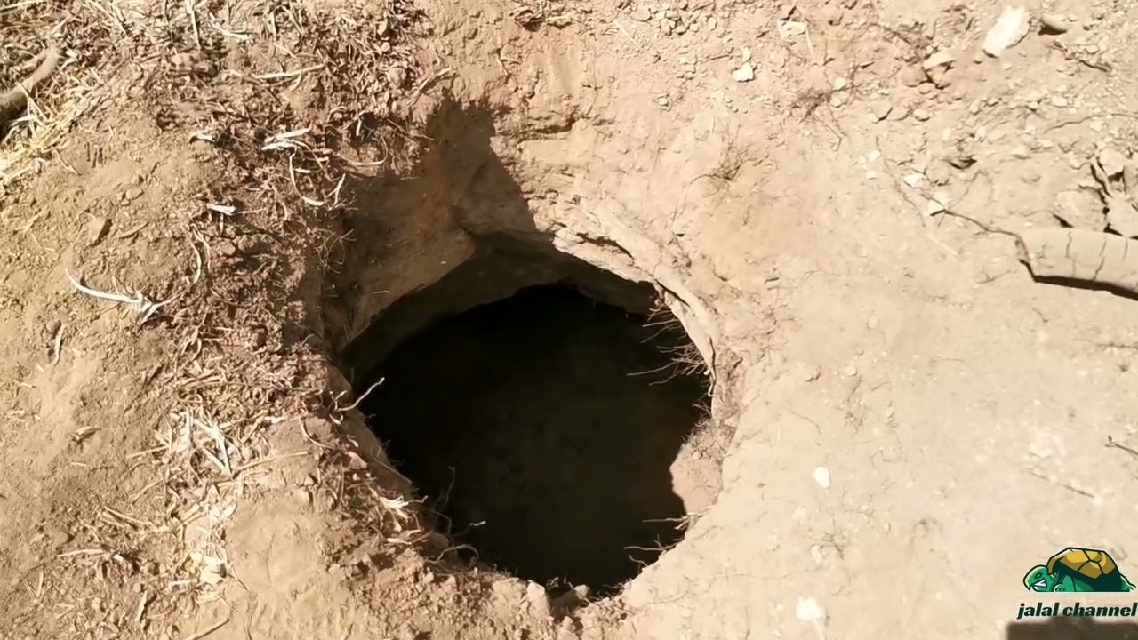 جرن خزين المال الروماني