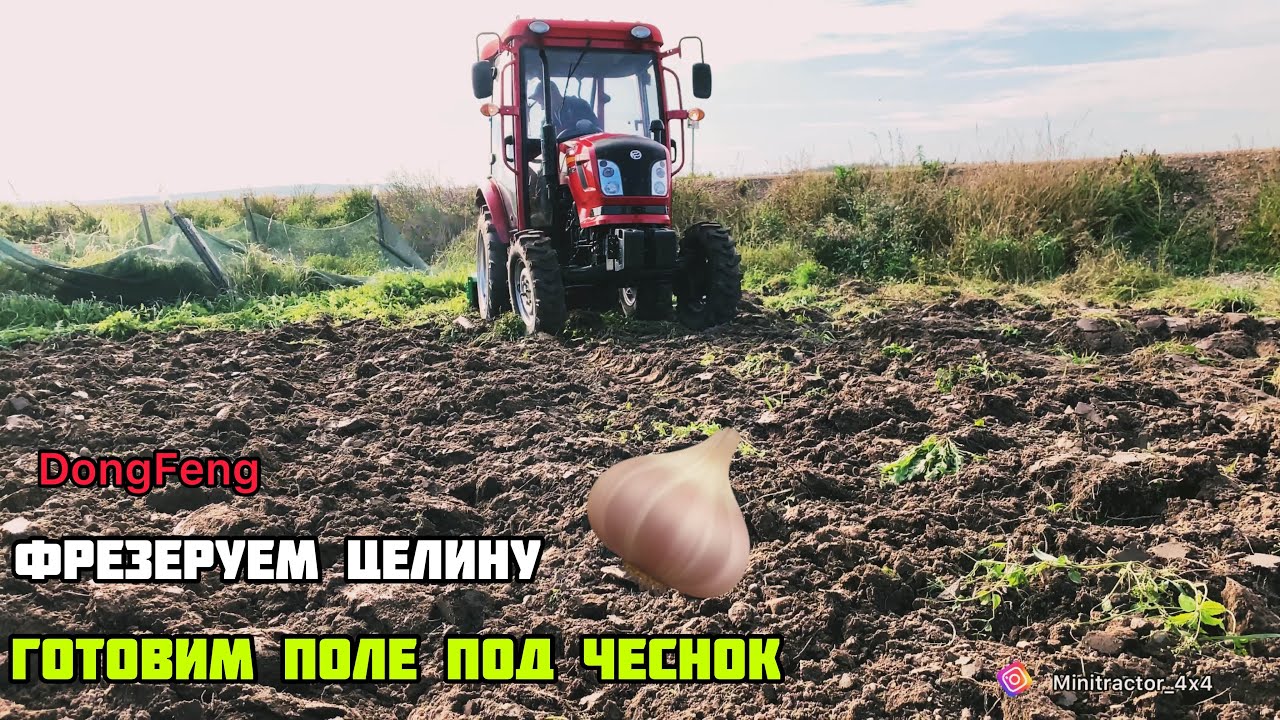 ФРЕЗЕРУЕМ ЦЕЛИНУ !! DongFeng 244 G2 готовим поле под чеснок 🧄