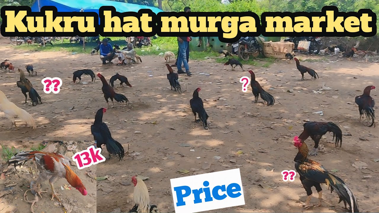 Kukru hat murga market | kukru murga market jharkhand | kukru murga market |kukru murga hat 10/08/24