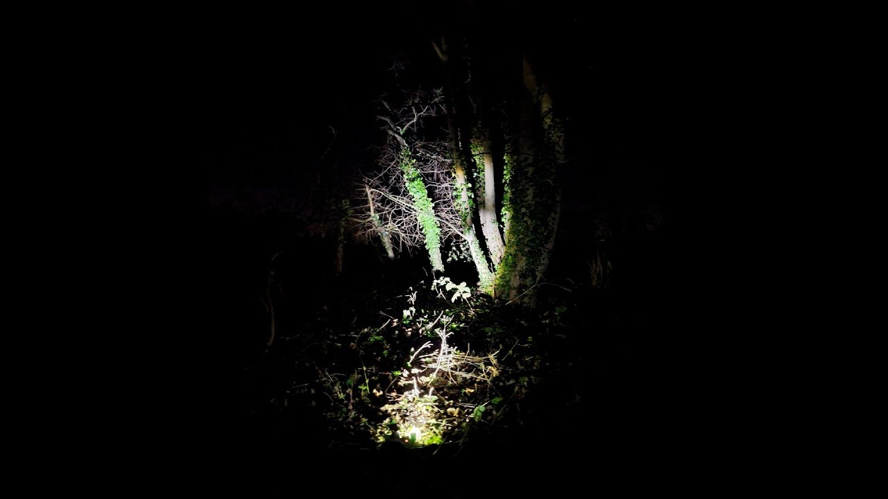 Perpetual Path | Horror Short Film