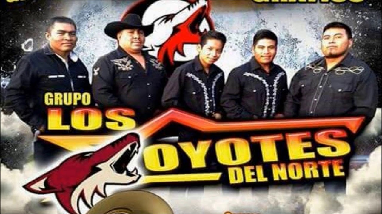 NO VOLVERE - LOS COYOTES DEL NORTE