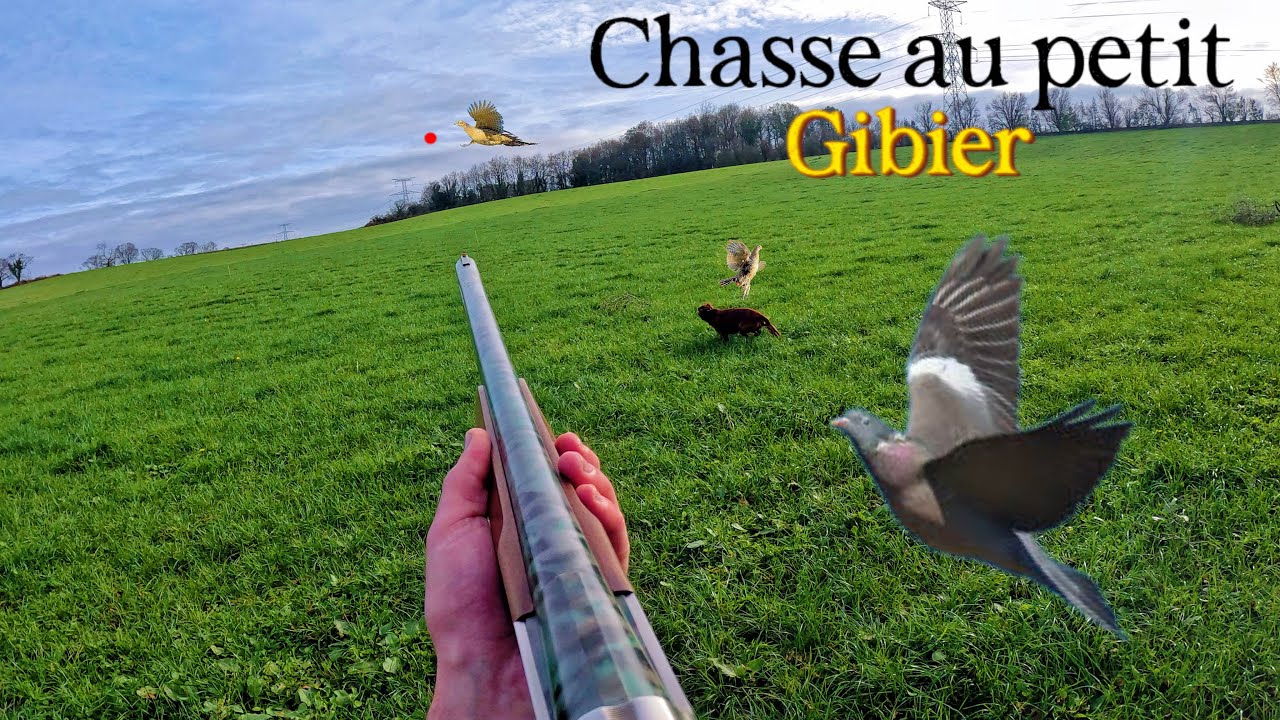 Chasse au petit gibier 26/11/2023