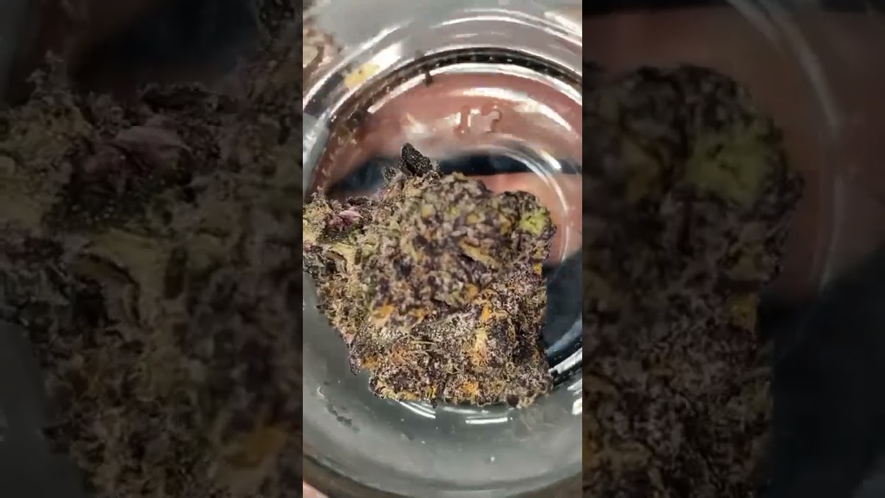 GREENTREEZ MILKYWAY MAGIC STARS ⭐️ #GELATO 33 X WEDDING CAKE #weed #greentreez #milkyway #shorts