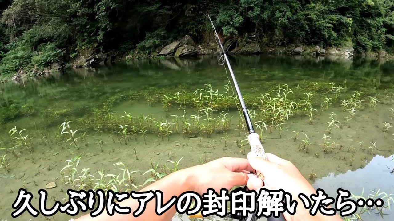 もはや使用禁止にせなアカンレベルで釣れました