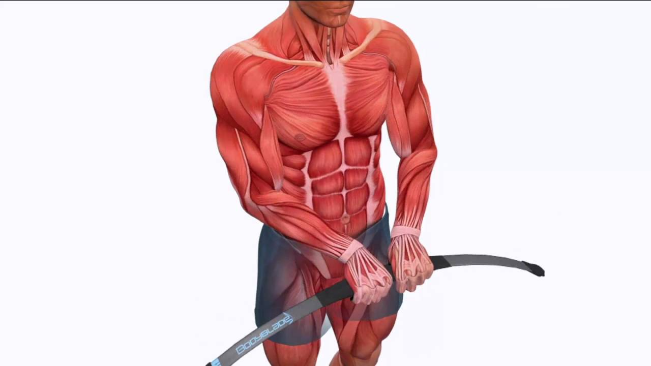 Bodyblade Classic Workout System w/ Weight Loss Guide & 2 DVDs on QVC