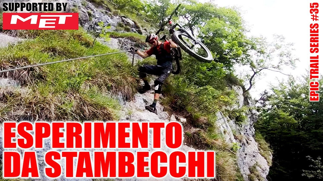 Esperimento da stambecchi in Val di Non