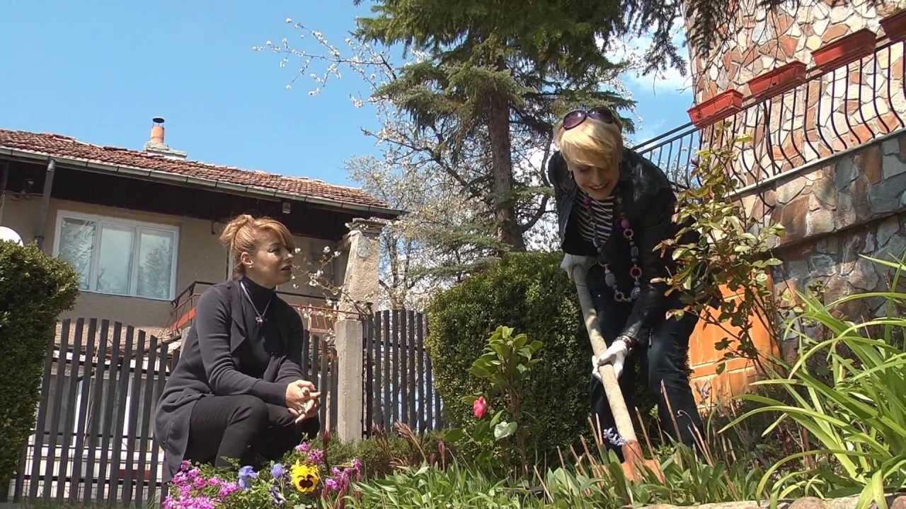 Камелия Тодорова - Рударци
