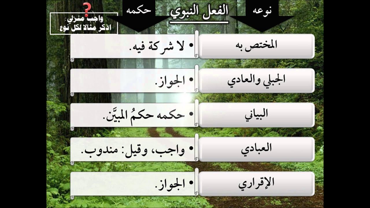 الطريق إلى علم أصول الفقه04 - السنة- عامر بهجت