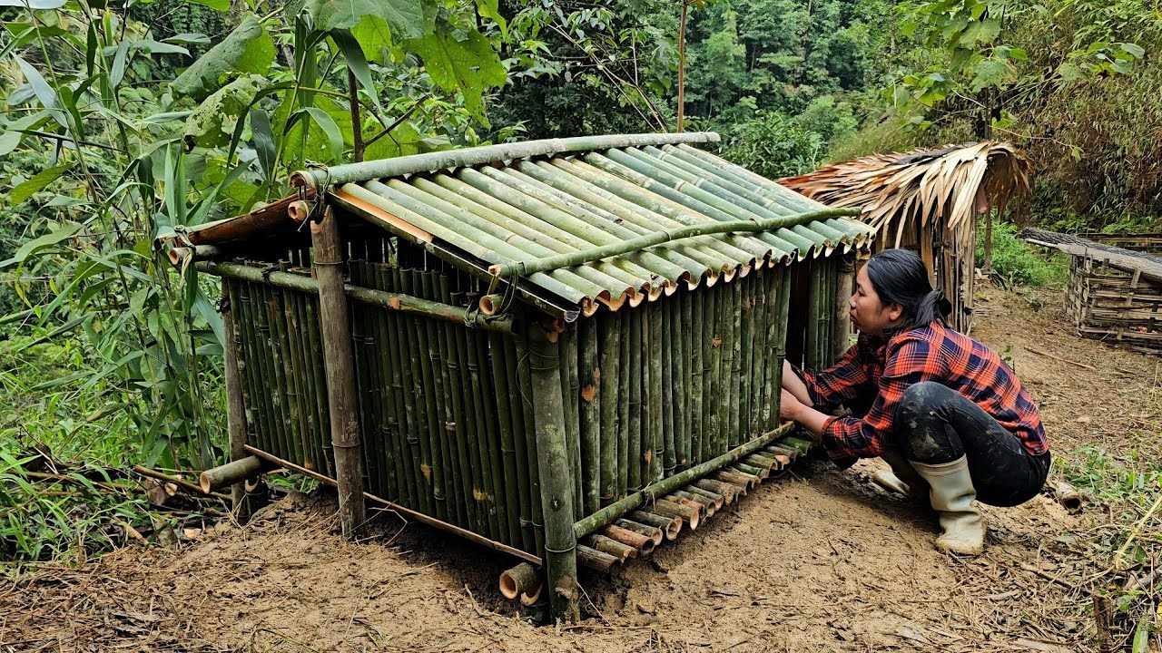 A Homeless girl alone  renovating an abandoned house in forest - A amazing transformation