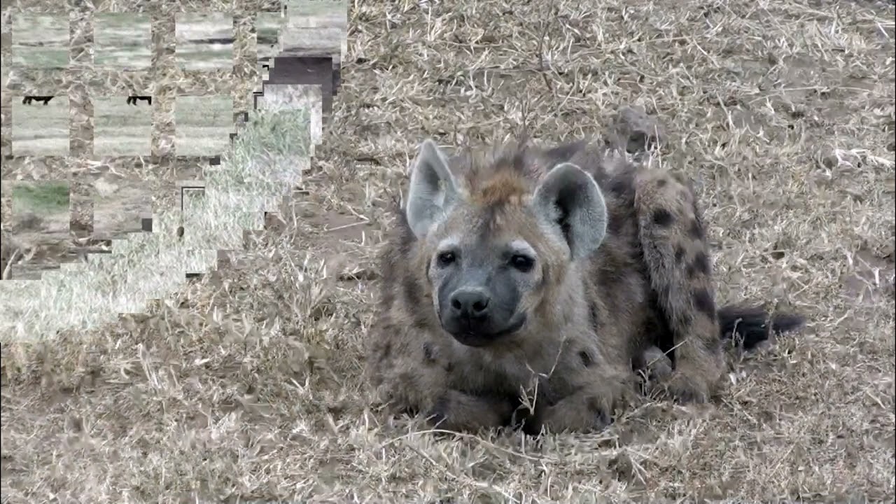 Ngorongoro National Park