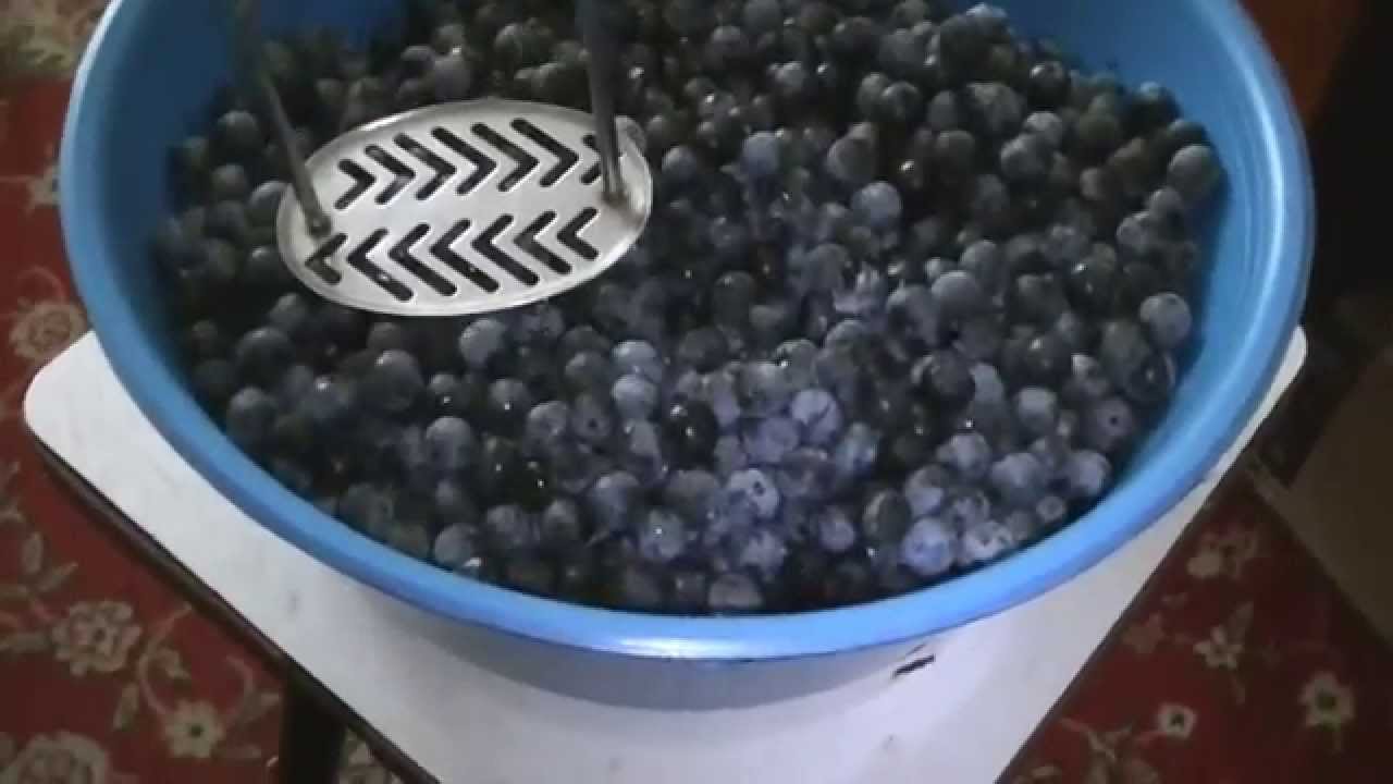 медовуха из терна и шиповника