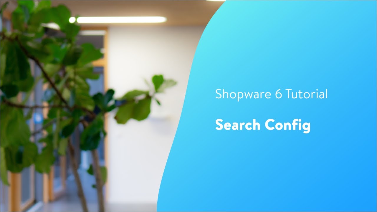 Search Config (Shopware 6 Tutorial EN)