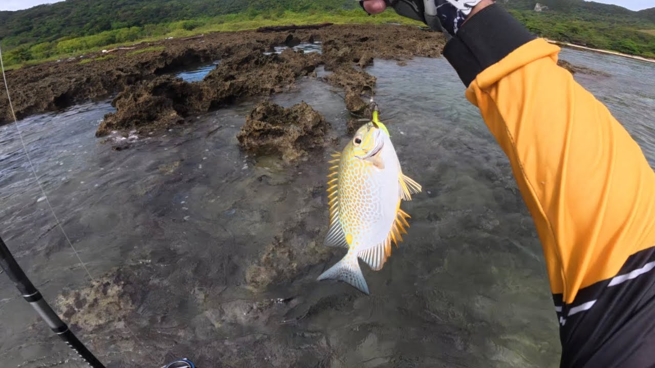 May malaking malaga ako nahuli mga bingwit try niyo tong pain ko😁 softbait lng yan😆😆😆
