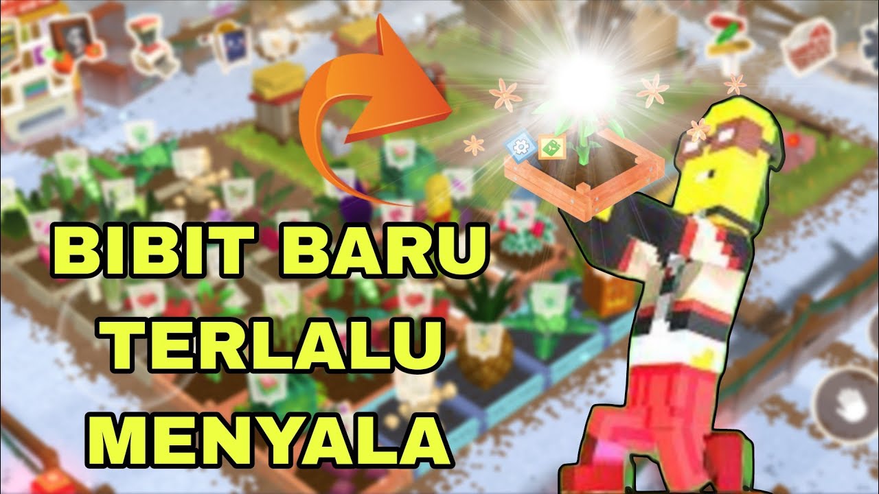 BAHAS 2 EVENT BARU DICHAINERS || #web3 #cryptocurrency #playtoearn 