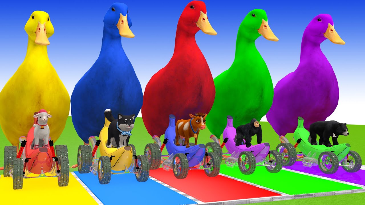 Long Slide Game With Cow Elephant Gorilla Hippopotamus Tiger 3d Animal Game Funny 3d Animals