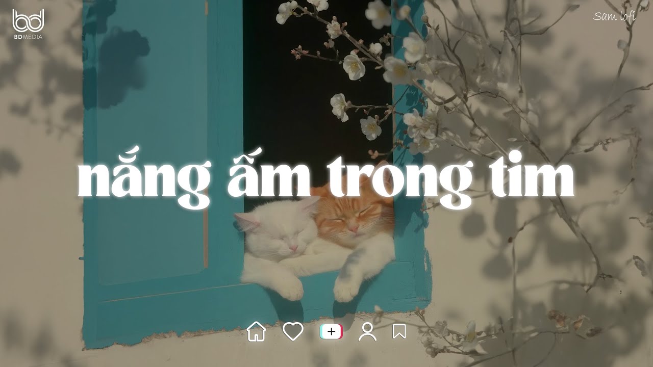 Nắng Ấm Trong Tim Lofi 🎵 Lạc Vào Khu Rừng Hoa 🎵 Nhạc Chill Tiktok 2025
