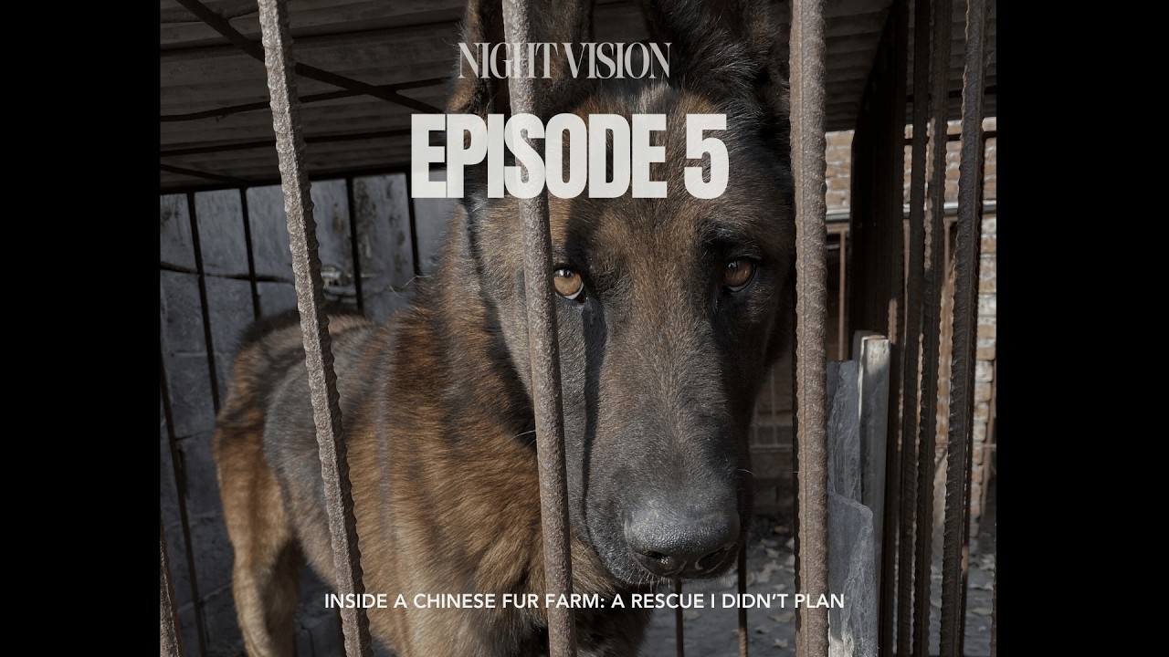 Ep. 5 : Inside a Chinese Fur Farm: A Rescue I Didn’t Plan