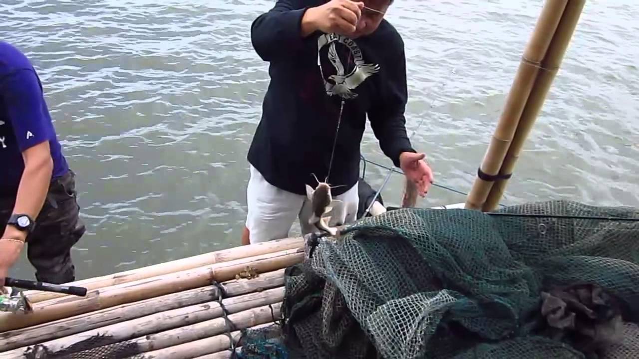 Sucat Fishing Escapade