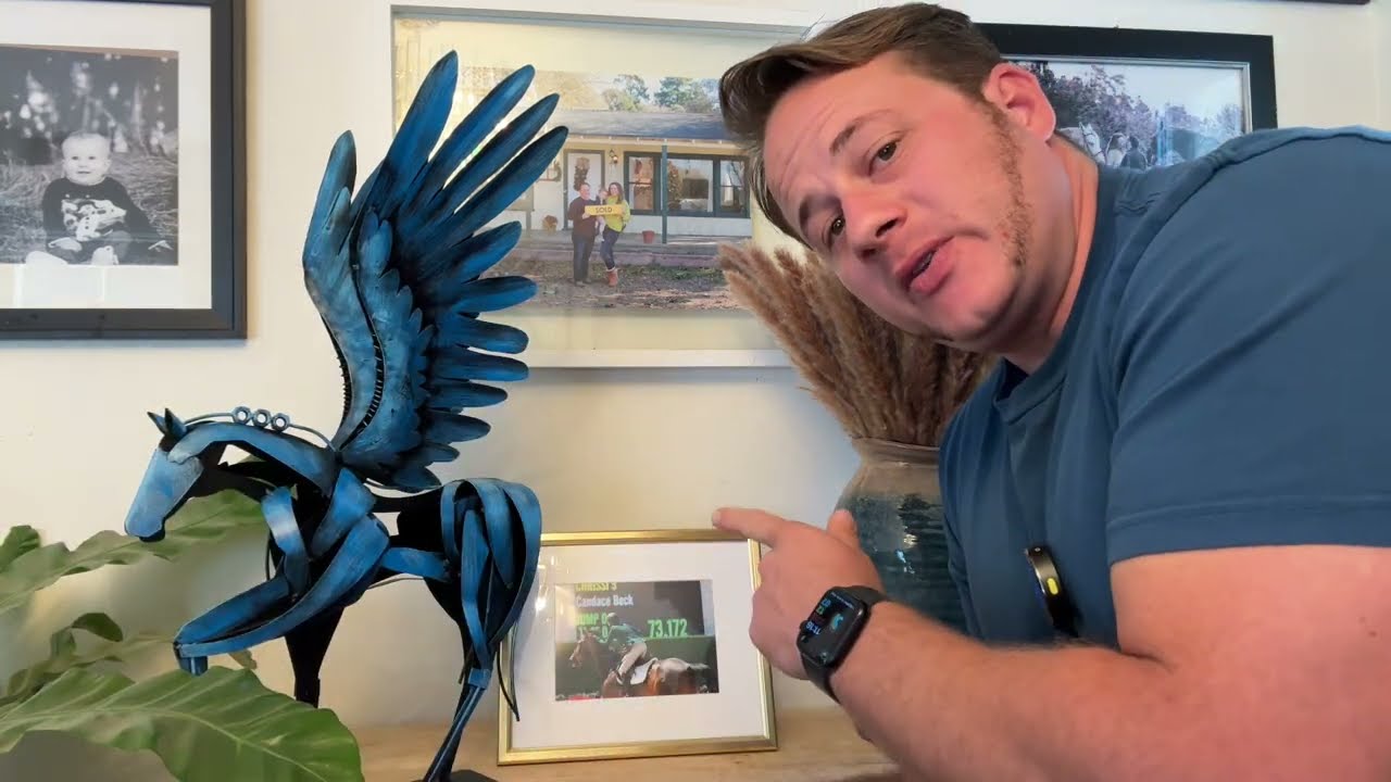 SunBlogs Handmade Metal Horse Pegasus Sculpture Review!