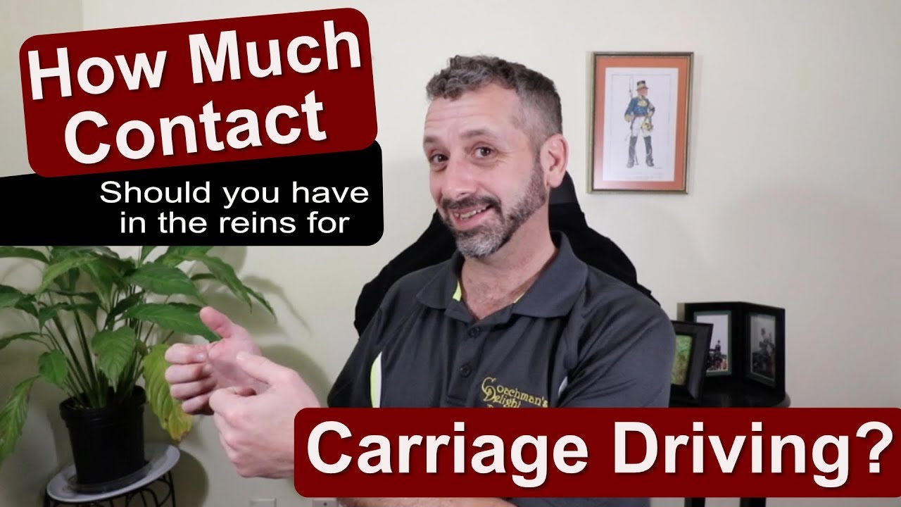 How Much Contact for Carriage Driving?
