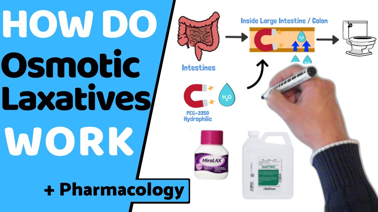 Как действуют осмотические слабительные? (EASY Pharmacology)