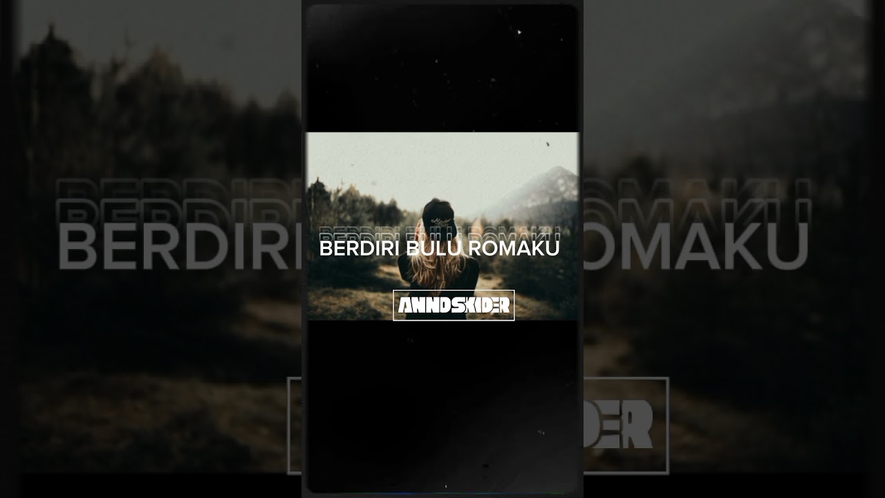 MHC-ANNNO SKIDER POCO POCO BERDIRI BULU ROMAKU REMIX 2K25