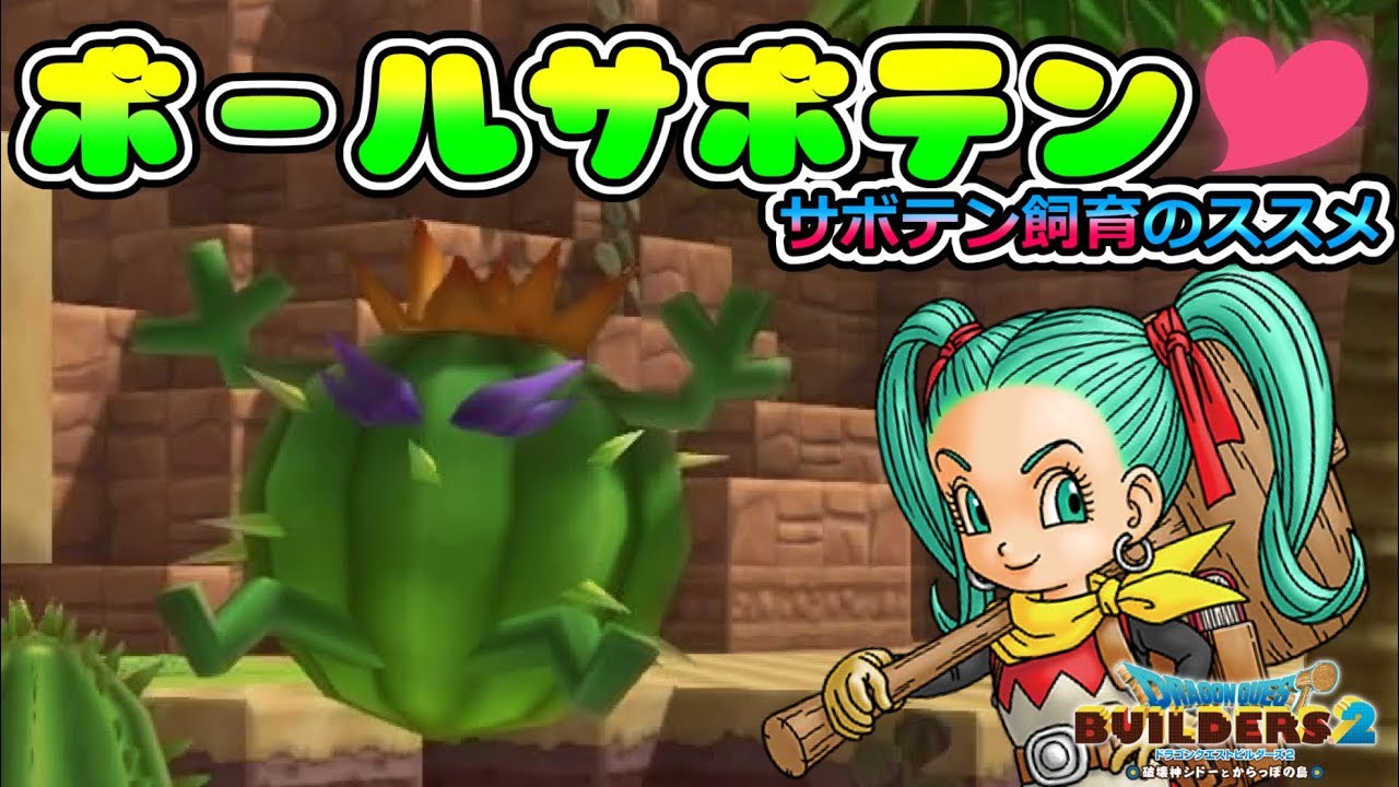 ボールサボテンがかわいい♡さくさく収穫できるサボテン飼育のススメ！【ドラゴンクエストビルダーズ２】【DQB2】