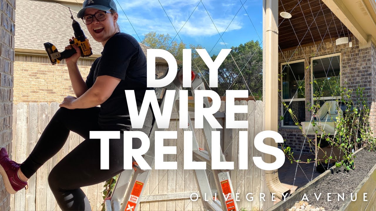 MAKE AN EASY DIY WIRE TRELLIS FOR CHEAP!