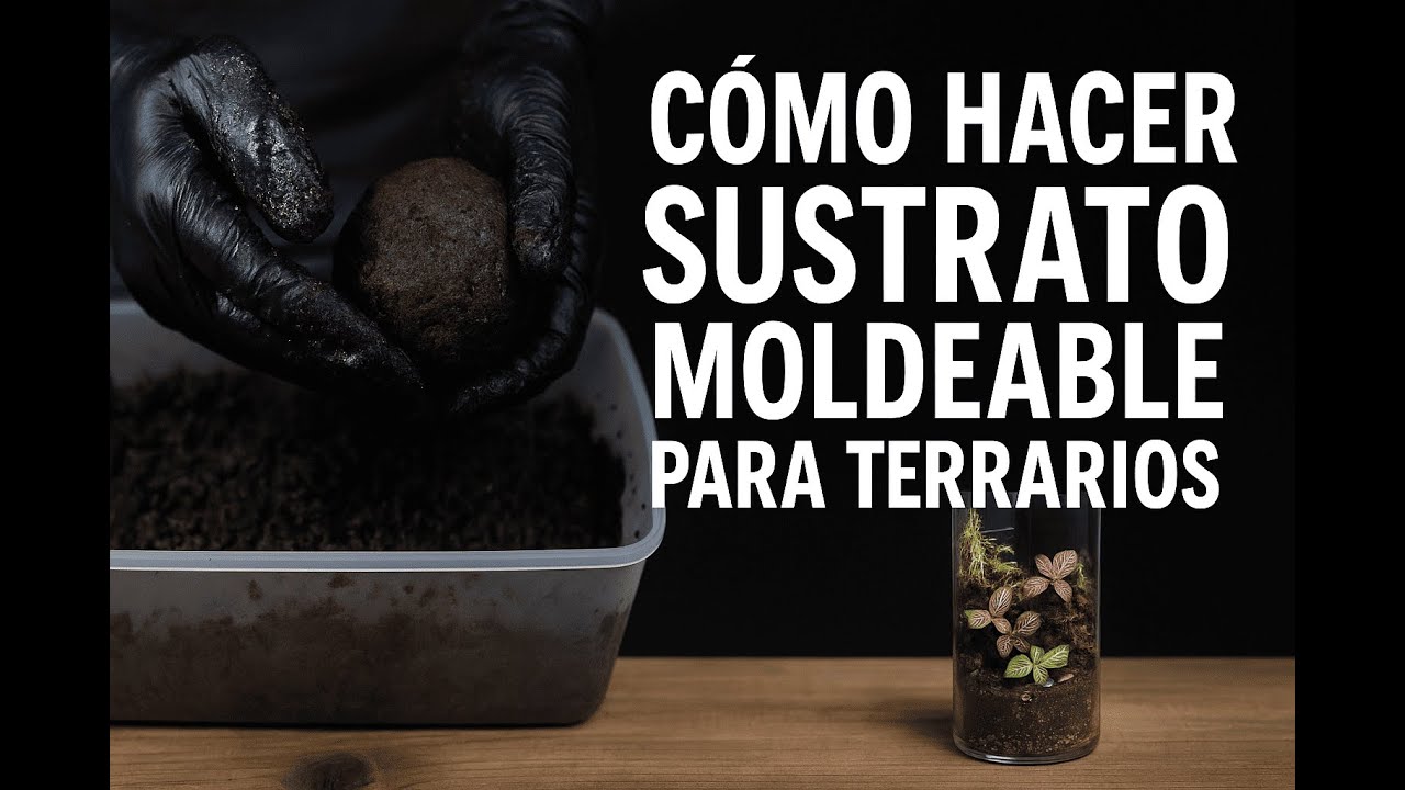 ¿Cómo hacer sustrato moldeable para terrarios?