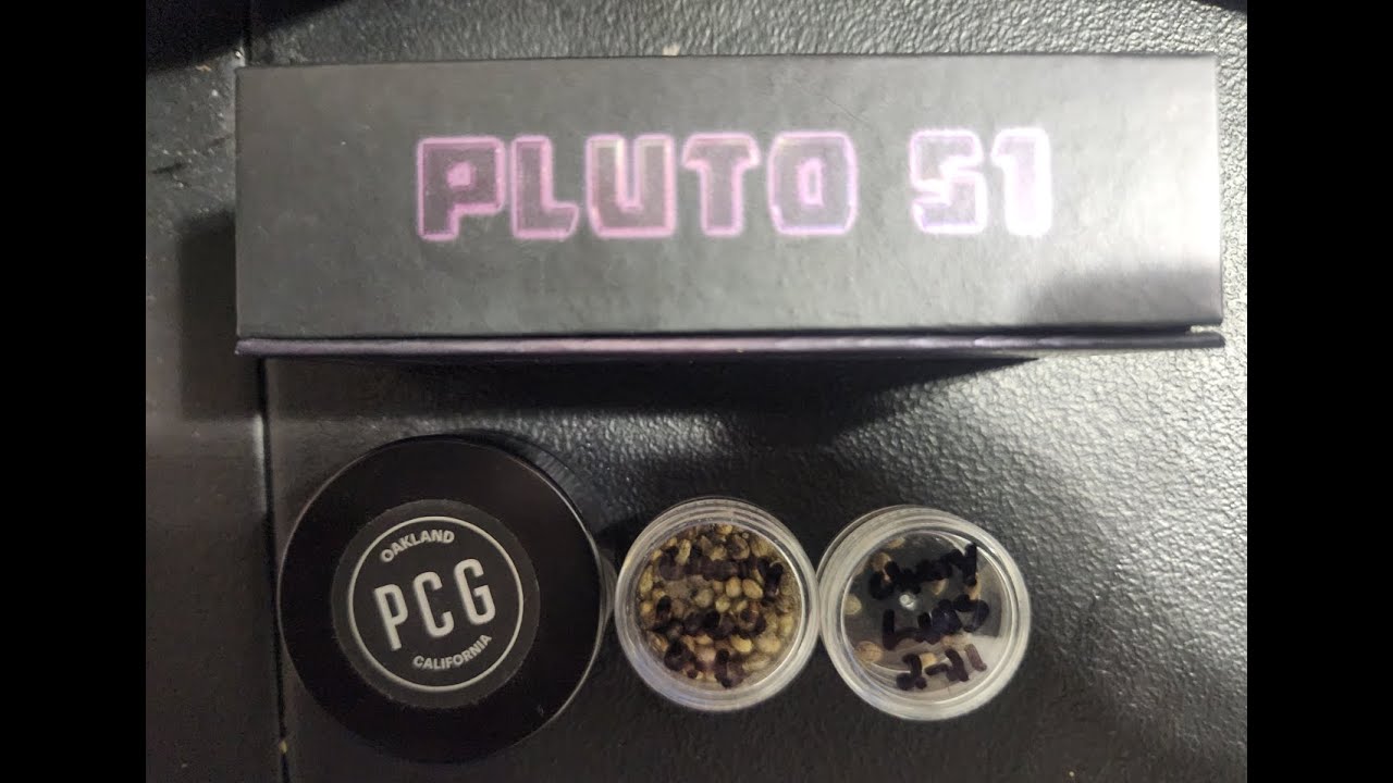 Genetic Genetics Genetics!!! Cannabis Seeds