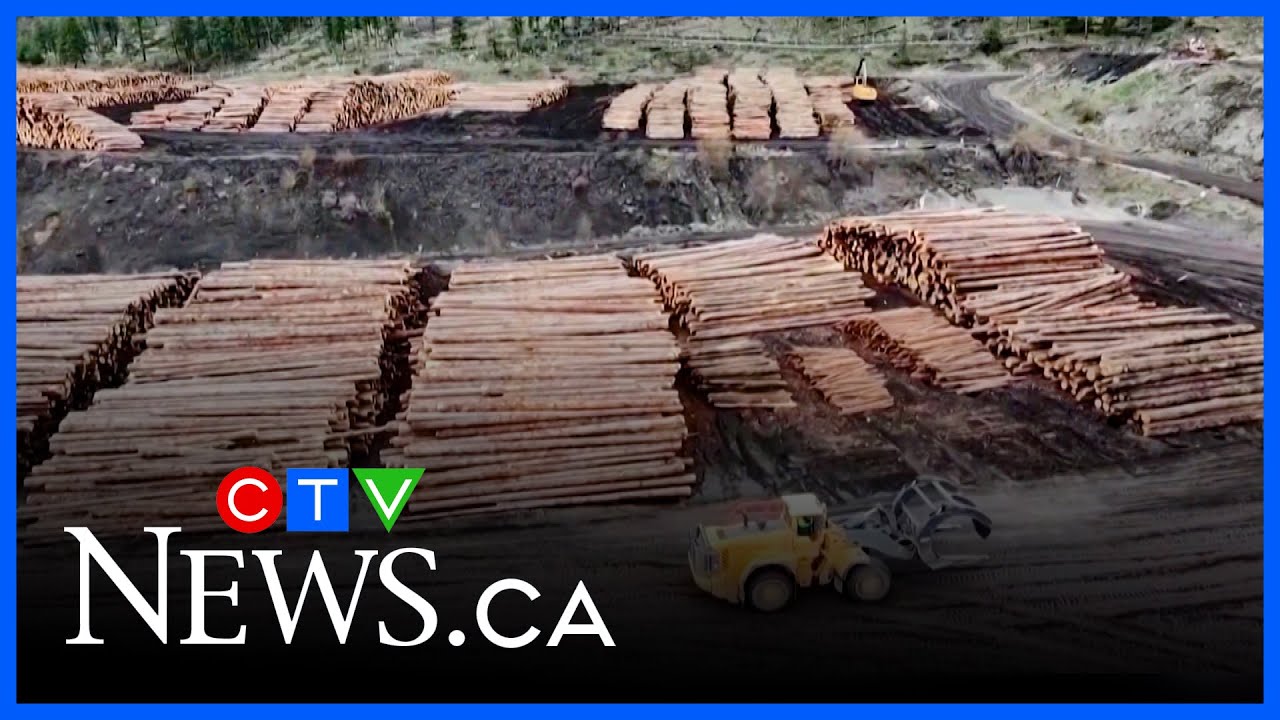 Softwood Lumber industry hit with more U.S. tariffs