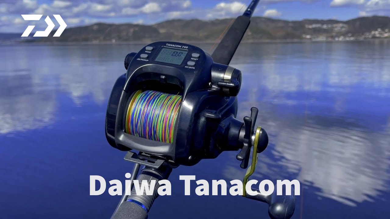 Daiwa Tanacom - Basic Settings