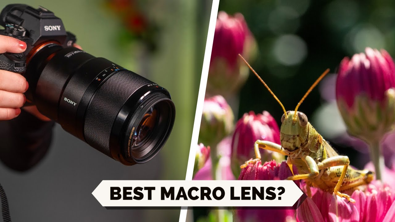 the BEST Sony macro lens out there?