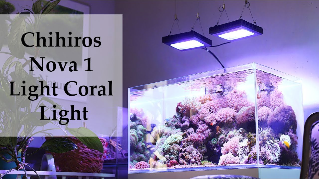 Chihiros Nova 1 Light Coral Light: распаковка и установка на аквариум, настройки ♡