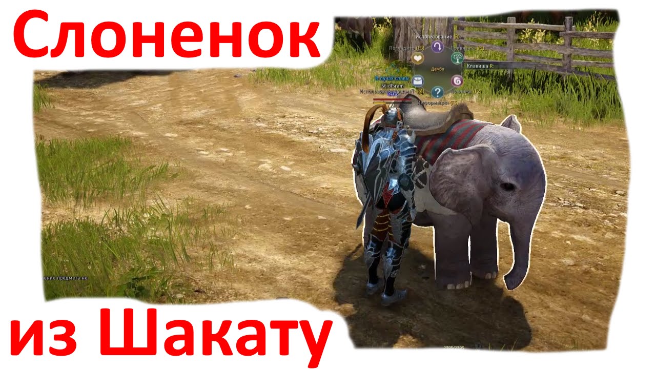 Black Desert - Квест на Слоненка