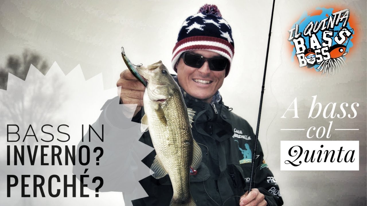 PESCA AL BLACK BASS - A bass col Quinta - Perchè pescare il bass in inverno?